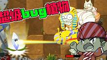 植物大战僵尸：棱镜草！PVP超级无敌Bug植物，硬碰硬基本无解！
