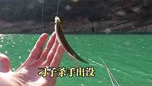 清澈见底小河这个季节只能连杆飞刁子鱼咯，别的鱼反正又钓不到！