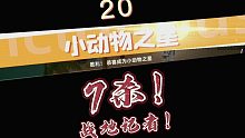 7鲨！战地记者！《小动物之星20》