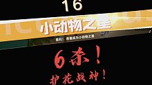 6鲨！护花战神！《小动物之星❶❻》