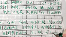 这样写作文老师会给多少分？里面错了一个字，帮我找一下吧，嘿嘿！