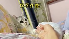 双标小猫：我妈的东西你不许碰！