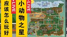 怎么玩好小动物之星期数篇（小动物之星）－小坏
