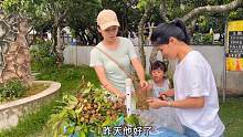 深漂：周六和老公来惠州农场散心，现处境还是少说气话避免冲突
