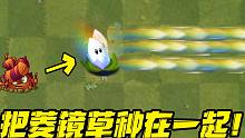 植物大战僵尸：把菱镜草种在一起，它会变成“加特林”吗？