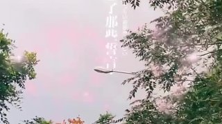 回不去從前