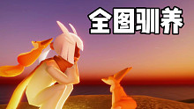 【光遇·小王子季】小狐狸全图测评！驯养的旅程