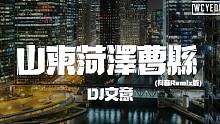 DJ文意 - 山东菏泽曹县 (抖音Remix版)【動態歌詞/pīn yīn gē cí】