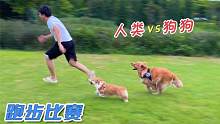 主人和狗狗比赛跑步，究竟谁更快？