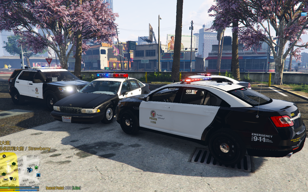 【gta5】城市警方追缉一辆退役警车!