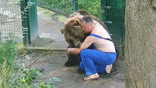 俄罗斯人：这种小棕熊最好撸了