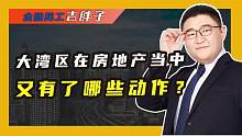 大湾区房价定调！珠三角调控再升级，刚需利好还是利空？