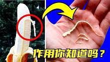 你不了解的6个冷知识，香蕉上的细丝有啥用？吃了又有啥好处？