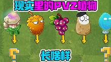 植物大战僵尸：现实里的PVZ植物长啥样？你确定这是变身茄子？