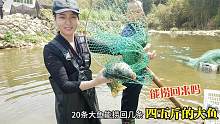 听说大坑20条大鱼被冲走，媳妇扛起渔具就跑！她到底捞回多少