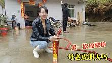 母老虎平日又凶又胆大，元宵节非要放鞭炮！还没点着拔腿就跑