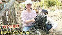 媳妇是丈母娘家的贼！回个娘家钓大鱼又抓鸭，老公拦都拦不住