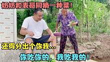 奶奶和表哥同摘一种菜，还得分出个你我，你吃你的我吃我的