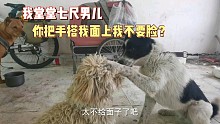 狗也是需要面子的，你一巴掌按我脸上，我以后面子往哪搁