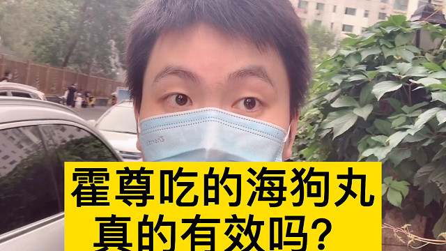 霍尊吃的吃海狗丸有用吗?