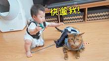 猫：没见过这么奇怪的要求…竟然让我遛人？