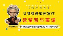 【和声】贝多芬YYDS，延留音与离调也能成为发展乐句的手法