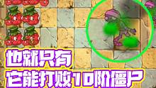 植物大战僵尸：纯靠伤害“秒杀”10阶巨人僵尸？只有它能做到吧