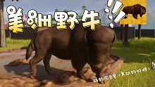 【动物园之星】萌新养野牛，野牛求偶生崽满足了游客的欲望，养动物真的好难