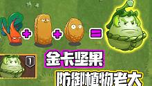 植物大战僵尸：金卡白瓜相扑手！坚果类植物老大！万能植物！