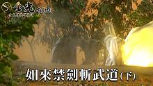 【金光经典耀高清 如来禁剑斩武道(下)缺舟一帆渡、玄狐】
