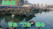青岛休渔期即将结束，垂钓爱好者提前“丰收”，包船500一天真值