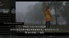 mFilmLook 04 - FCPX插件 色阶调整教程