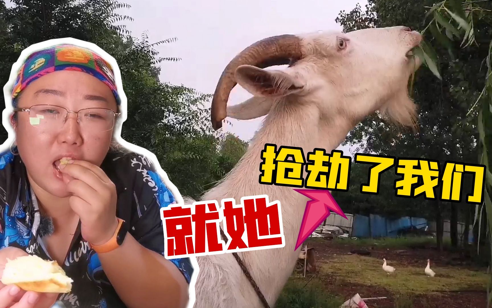 有田有地有鸡有鱼，隔三岔五开着房车出去浪，呼市车友这日子真爽