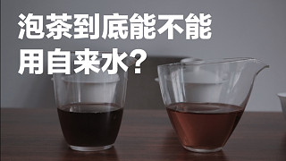 【清山茶事】两组对比冲泡告诉你自来水跟山泉水泡茶的区别