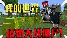 我的世界 植物大战僵尸PVZ1