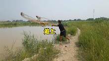 水库沉砂池发现大鱼顶流，小伙追着撒网，为何收不上来？够大