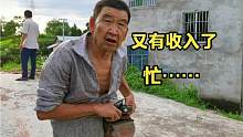 表叔又收入200大洋，农忙季节，吃饭都是凑合着
