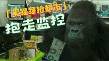 黑猩猩抢超市还抱走监控，北极熊喝可乐为网红，整个世界太疯狂了