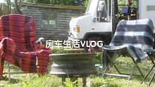 治愈系VLOG | 爱尔兰·小森林 八月房车生活