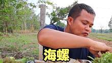萨瓦迪卡，朋友们开吃啰。
