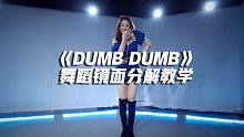 《DUMB DUMB》舞蹈镜面分解教学【口袋教学】