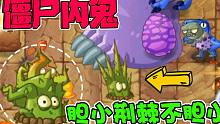 植物大战僵尸：植物界的僵尸内鬼！胆小荆棘，一点也不胆小！