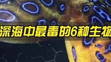 深海中毒性最强的6种生物，超出你的想象！ #生物鉴定 