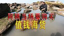 1个月只能抽1次的200平半岛坑，500一斤的靓货，阿姨当场就要买