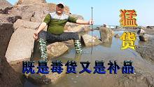 30斤羊血撒80天没来的虎王坑，既是毒货又是补品，掀开大石更惊喜