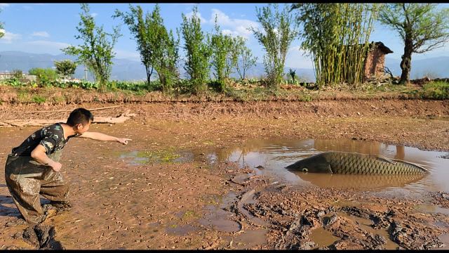 8年未干过水鱼塘清塘之后,小伙去捡漏,用手一摸感觉不对劲哦