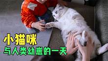 小猫咪与人类幼崽的一天