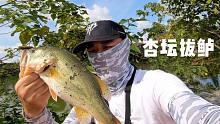 【游钓VLOG 59】在顺德遇到养过鱼的废塘不要放过，因为也许下一秒就上大鲈了