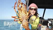 世界厨房第33集：新西兰海上搏斗25岁巨型澳龙，船长私房秘技烹制人间大美味