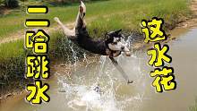 二哈跳水就像深水炸弹爆炸，水花拿捏的死死的，送奥运会吧